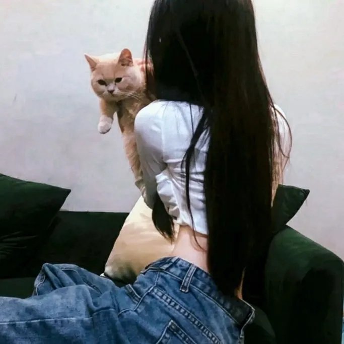 迷墙