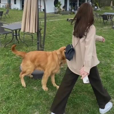 铁腕毒权